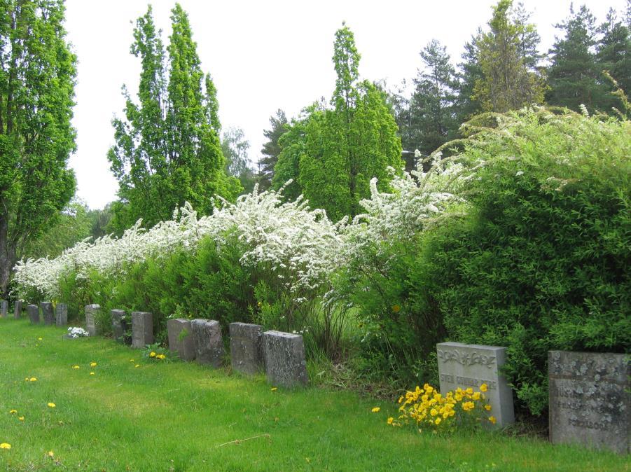 En välbevarad rad med allmänna linjegravar i kvarter 5 på Södra kyrkogården, Lindesberg.