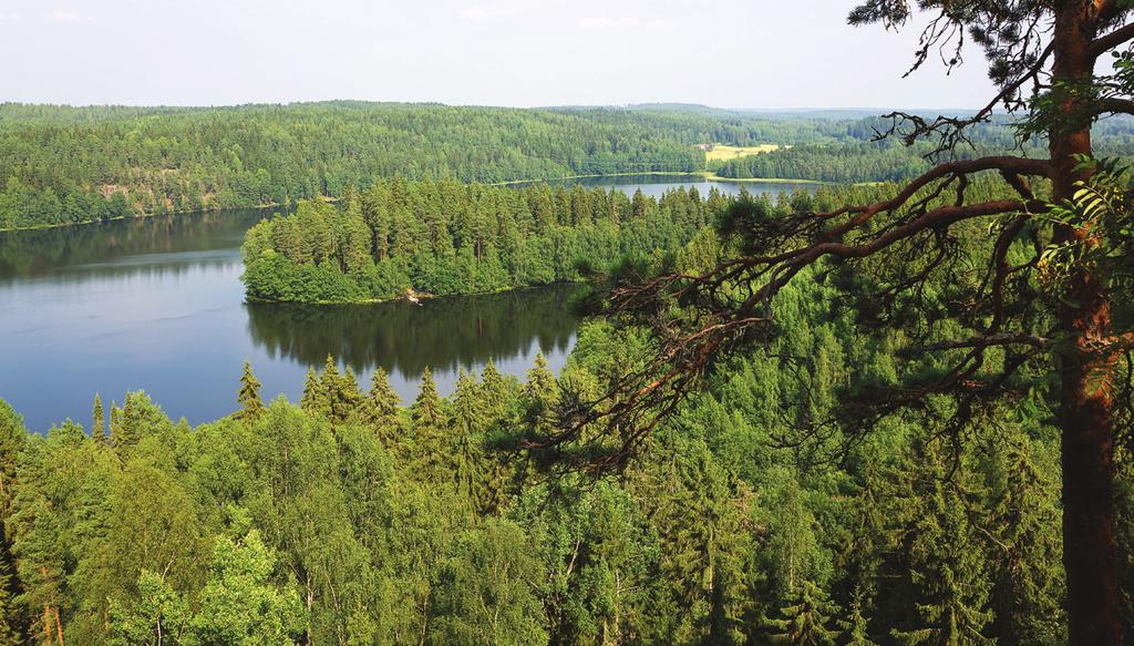 Aulanko Kehittämiskeskus Oy Häme/Jorma Jämsén la begravningsplatsen, som togs ur bruk 1873 och numera är en park. 9.