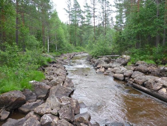 Flottleder En stor del av länets vattendrag har använts för flottning av timmer och som en följd har vattenmiljöerna skadats betydligt (Törnlund 2002, Törnlund & Östlund 2002).