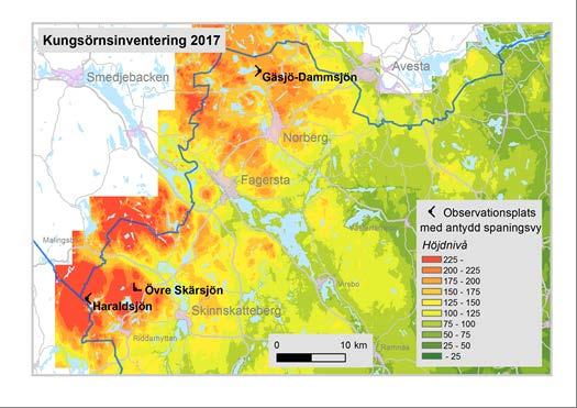 2.3 Kungsörn 24 februari (Haraldsjön) 5 observationer av kungsörnar med åldern 2-4K (K= kalenderår) 2 mars (Övre Skärsjön) 4 observationer av kungsörnar med åldern 2-5K 13 mars (Gäsjö-Dammsjön) 2