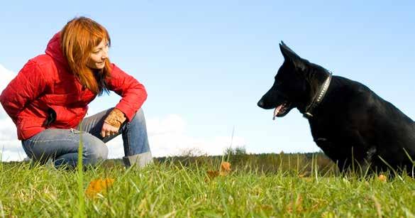2014-08-30 Svenska Brukshundklubbens (SBK) policy består av en grundläggande del, med utgångspunkt i Svenska Kennelklubbens policy för relationen människa hund, då SBK som specialklubb