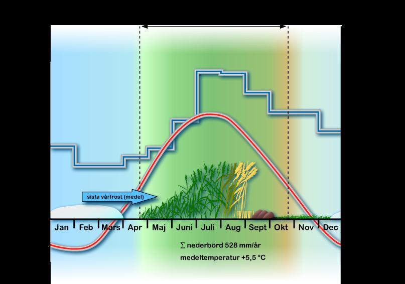 Regionalt klimat Mälardalen Vegetationsperiod, nederbörd och