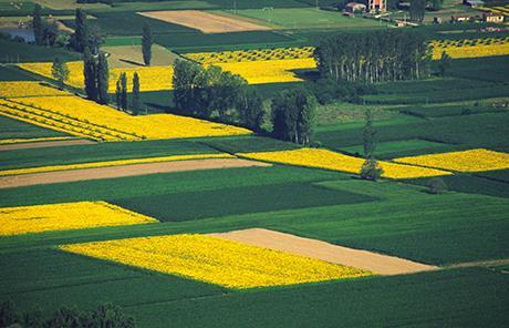 LISTERLANDETS BEVATTNINGSSAMFÄLLIGHET VÄXTFÖLJD LISTERLANDET: Spannmål 42 % Potatis 30 % Sockerbetor 15 % Grönsaker / Vall 13 % VATTENBEHOV per hektar Snittförbrukning 600 m3/ha Spannmål 1 ggr x 25