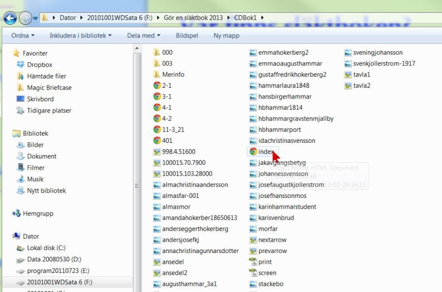 Var finns släktboken? Om du följt mina anvisningar finns släktbokens alla filer i mappen CDbok1.