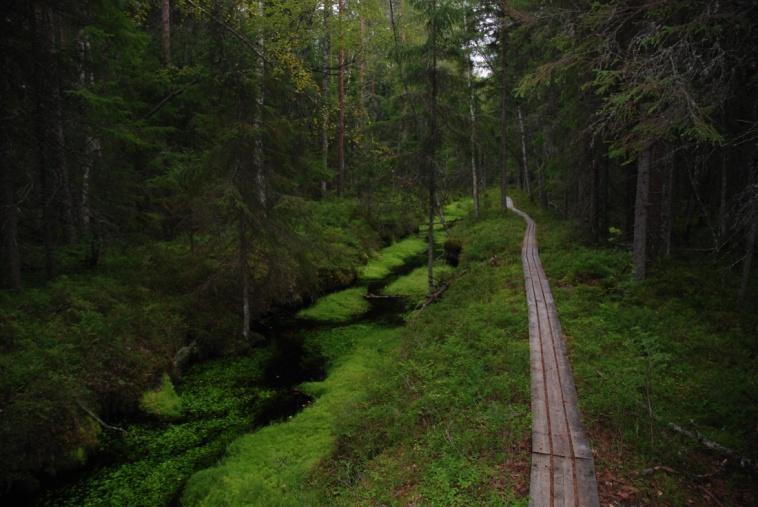 Vattenlagen förbjuder åtgärder som äventyrar att bäckar