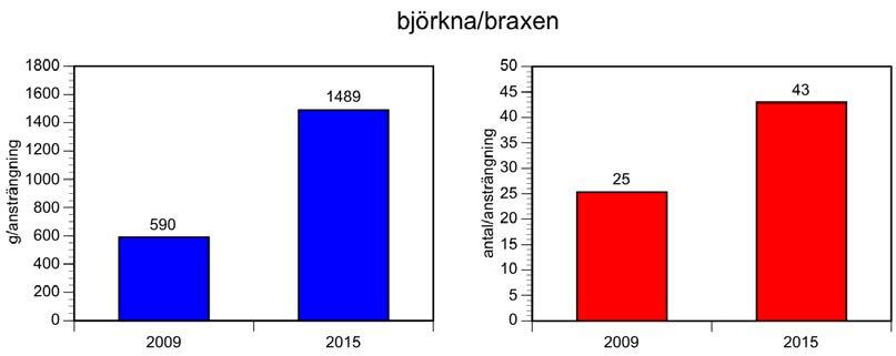 Fångsten per ansträngning (vikt och antal) för gös.