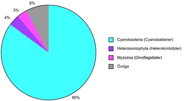 Figur 17. Växtplanktonbiomassans fördelning (%) på olika grupper i Gillfjärden under augusti 2015. Fisk Nätens placering vid provfisket i Gillfjärden 2015 visas i bilaga 1.