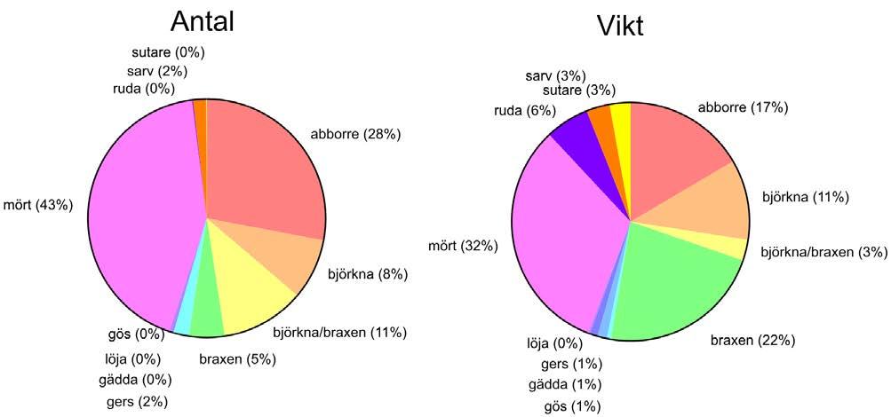 Figur 30. Artsammansättning i antal och vikt vid provfisket i Syningen augusti 2015. Totalfångst per nätansträngning Totalt fångades 3869 fiskar som tillsammans vägde 72,4 kg i de 16 bottennäten.