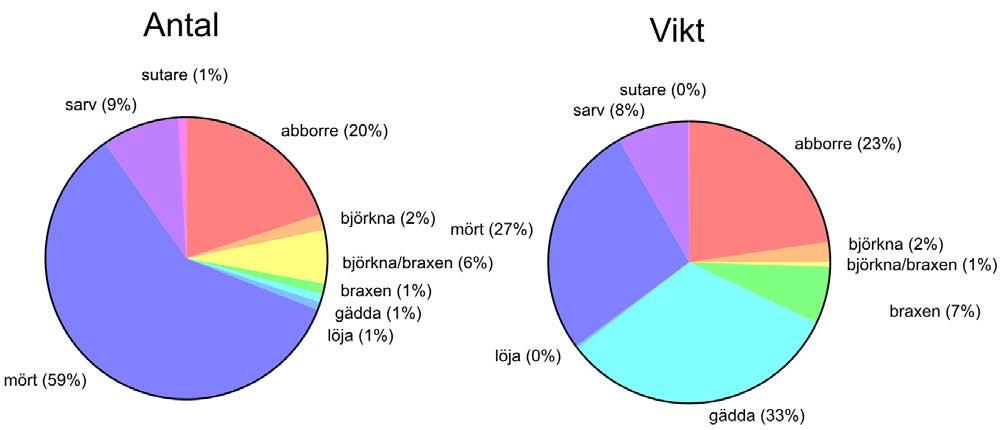 Figur 35. Artsammansättning i antal och vikt vid provfisket i Kundbysjön augusti 2015. Totalfångst per nätansträngning Totalt fångades 326 fiskar som tillsammans vägde 12,5 kg i de 8 bottennäten.