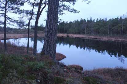 Området inventerades under en dag i december 2016. Endast en lämning påträffades, en kolningsgrop.