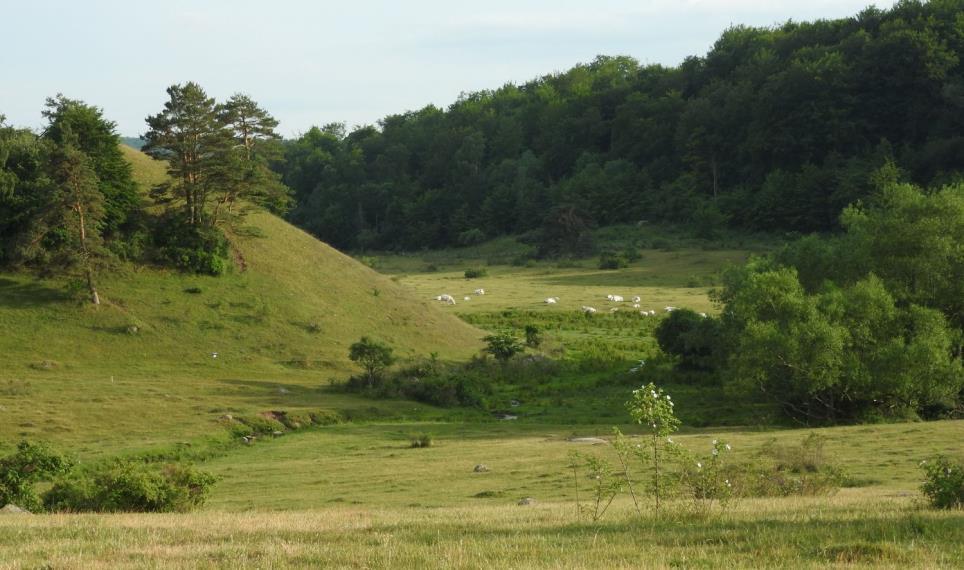 Lördag 24 september kl 10.00 Cykelrunda i Degebergatrakten. Vi cyklar längs banvallen från Degeberga mot Maglehem / Lillehem med stopp bland annat vid Dunderbäckens naturreservat (totalt ca 25 km).