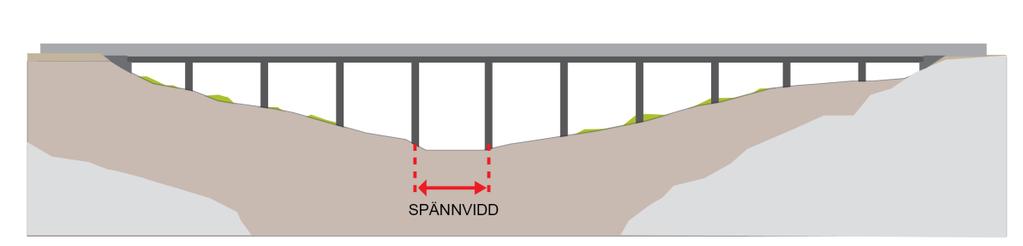 Broar för höghastighetsjärnvägen kan utföras som konventionella platsbyggda betongbroar, men det finns en mängd olika typer av brokonstruktioner.