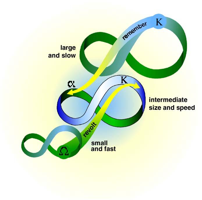 En viktigt del i konceptet socio-ekologisk resiliens är det som kallas The Adaptive renewal cycle. Detta är en slags tumregel utifrån hur ekosystem anpassar sig och förändras.