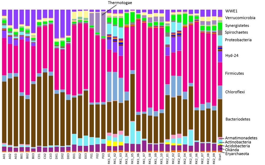 THP. Förutom dessa fyla fanns även relativt höga halter av Chloroflexi (7,3-20,8 %), Proteobacteria (5,5-7,7 %) och Hyd-24 (5,9-10,8 %) i fullskaleprocessena innan installationen av THP (Figur 12).