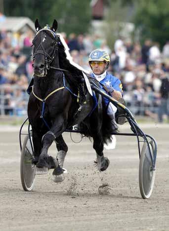 KVAL/PREMIE KVALTIDER VARMBLOD.,0 - -åriga.,0 - -åriga.,0 - -åriga & äldre.,0 - montékval KVALTIDER KALLBLOD.,0- -åriga.0,0- -åriga.,0 - -åriga & äldre.,0 - montékval PREMIETIDER Varmblod -åriga.,0-.,0 Kallblod -åriga.