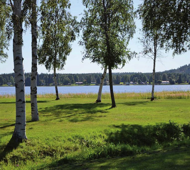 Mötesplatsen vid