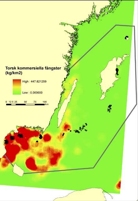 beln. Prediktionerna utgörs av kartfiler i gridformat, som kan visas i ArcView/ArcGIS.