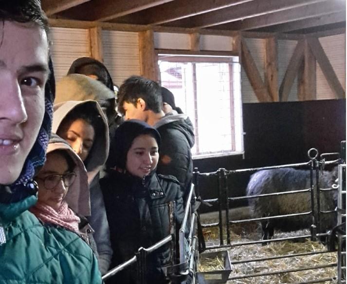 Under dagen hann deltagarna med att gå en guidad tur runt 4H-gården, sköta djur och även prova på olika hantverksaktiviteter, bland annat band och snoddar, ullhantverk och dekoration av ljuslyktor av