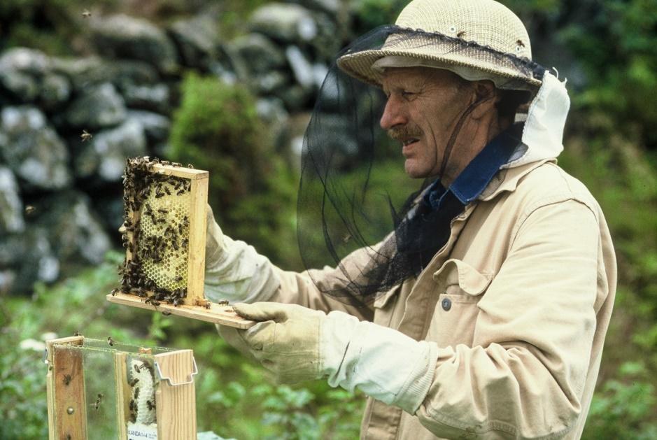 Tack Hjalmar! Hjalmar Pettersson, medlem i Orust biodlareförening avled 2015, i den aktningsvärda åldern av 90 år.