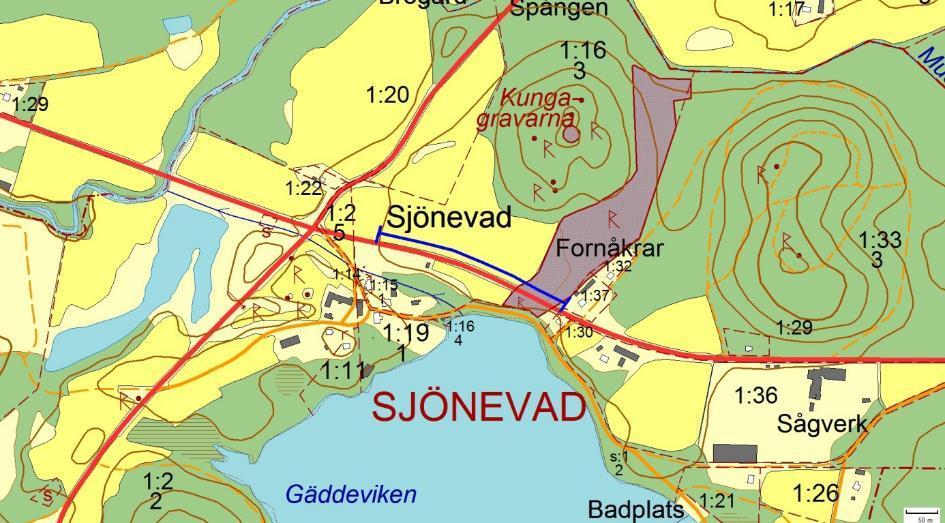 700, Sjönevad, SJÖNEVAD Motivering: Artrik vägkant med riklig förekomst av hävdgynnad flora.