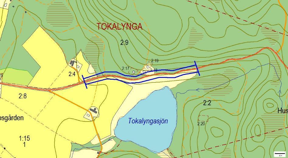 835, Tokalyngasjön, TOKALYNGA Motivering: Vägkanter med rik blomning av torrbacksflora.