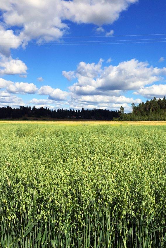 En del av miljön Vi är beroende av naturens resurser Mål: Minska klimatpåverkan och förbättra energieffektiviteten Förebygga avfall och råvarusvinn Hantera och använda vattenresurser på ett