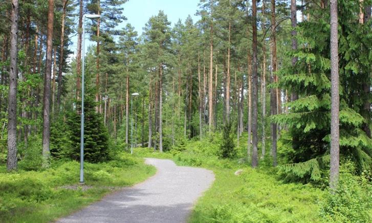 Utvecklingsinriktning och förslag på åtgärder o Förbättra platser för fysisk aktivitet genom utbyggnad av dagens två utegym samt en ny naturlekplats med balansbana för barnfamiljer och förskolor.