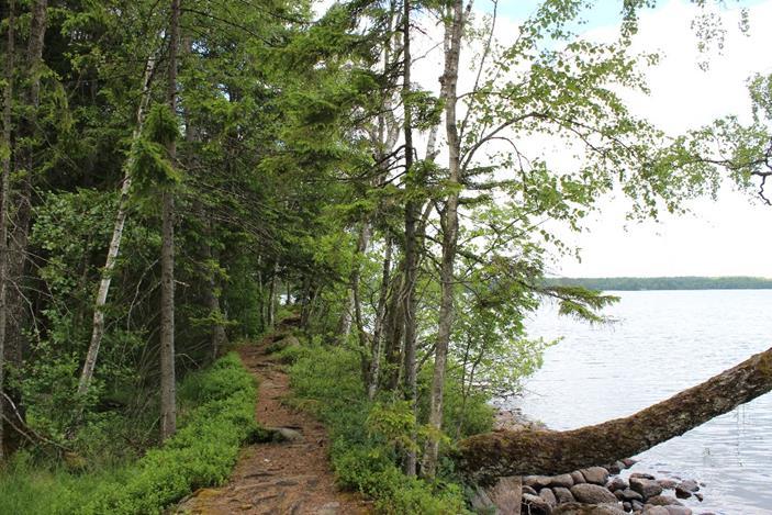 Prioriterade upplevelsevärden: Frihet och rymd, Samvaro, Friluftsliv och aktivitet, Skogskänsla. Naturtyper: Lövskog, barrskog, odlingslandskap, stränder och sjö.