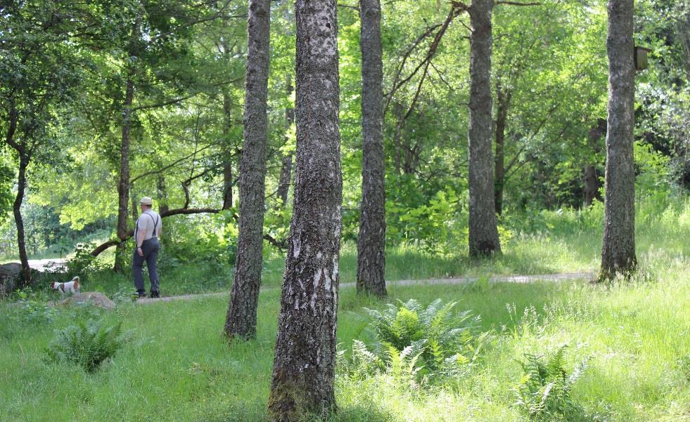 Prioriterade upplevelsevärden: Frihet och rymd, Rofylldhet, Friluftsliv och aktivitet, Artrikedom. Naturtyper: Lövskog, stränder, sjöar och odlingslandskap.