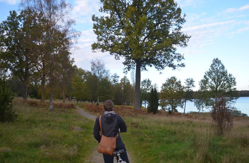 Utvecklingsinriktning och förslag på åtgärder Ekegärdsudden och strandstråket nordvästra Lammen Detta område är mest prioriterat och beskrivs mer ingående än övriga två.