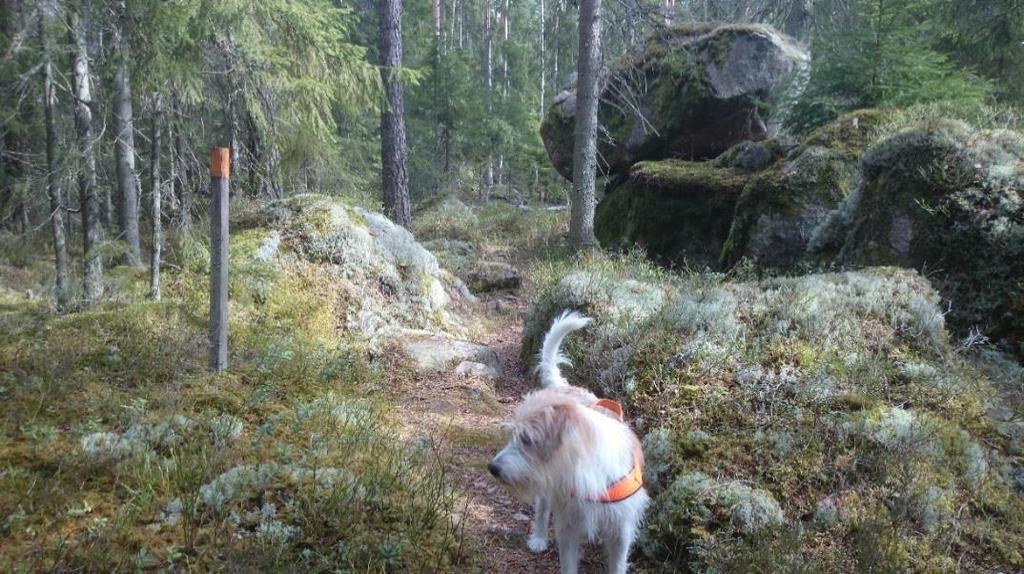 Åsnen Sjön Åsnen ligger i Växjö, Alvesta och Tingsryds kommuner och är en typisk småländsk sjö med flikig strandlinje och många öar.