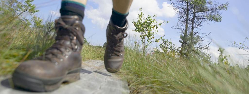 30 Natur och hälsoguide ifrån Torpadammens vänner tar oss med på en spännande och lärorik äventyrspromenad genom Rudalen på temat Hälsa av naturen.