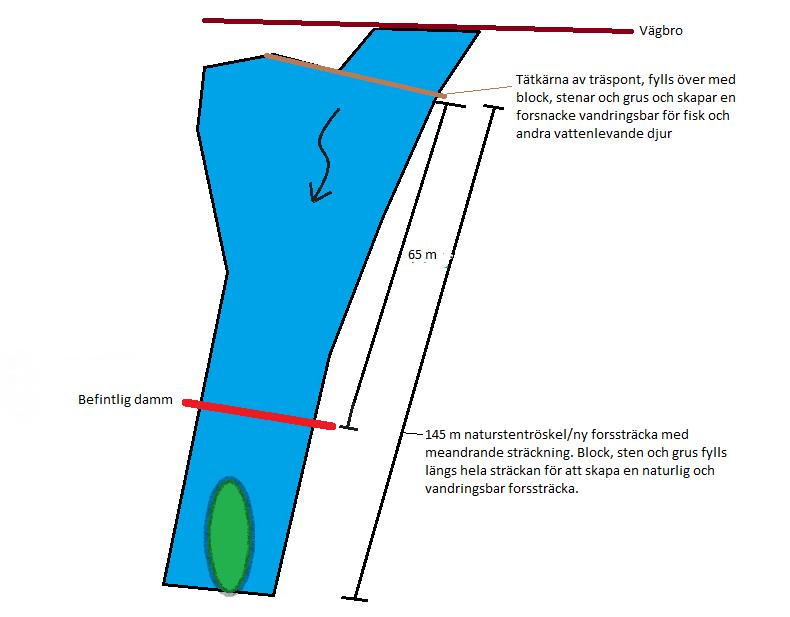 Figur 2. Principskiss som visar var den nya forsnacken med tätkärna av träspont kommer att ligga i förhållande till befintlig damm och vägbron.