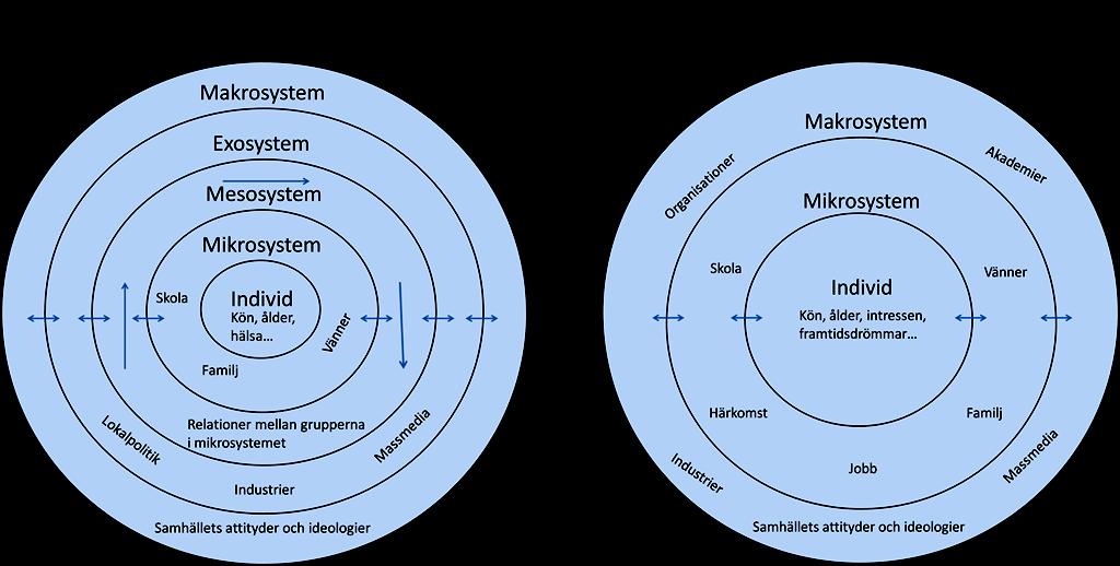 mikrosystem, mesosystem, exosystem och makrosystem (Bronfenbrenner, 1979).