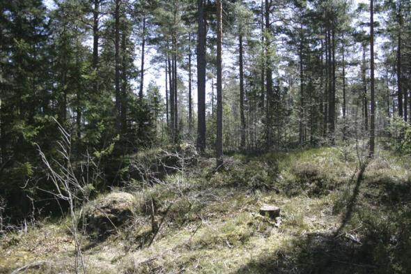 Östralid Området är idag täckt av skog och ligger på en höjd, i närheten av samlingslokalen Vallonen.