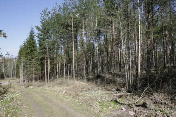 VA Allmänt VA finns i närheten. Friluftsliv Det finns strövstigar i närheten av området.