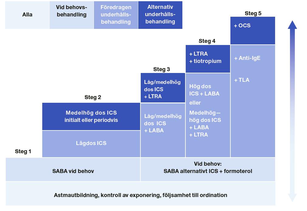 Figur 1: Läkemedelsverkets behandlingstrappa för underhållsbehandling av astma Företaget anger att patienter som är aktuella för behandling med Cinqaero tillhör steg 4 och 5 i Läkemedelsverkets