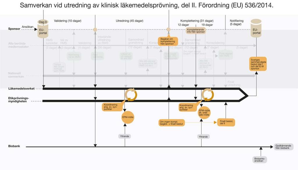 Figur 7. Samverkanstruktur vid utredning av kliniska läkemedelsprövningar i enlighet med förordning (EU) 536/