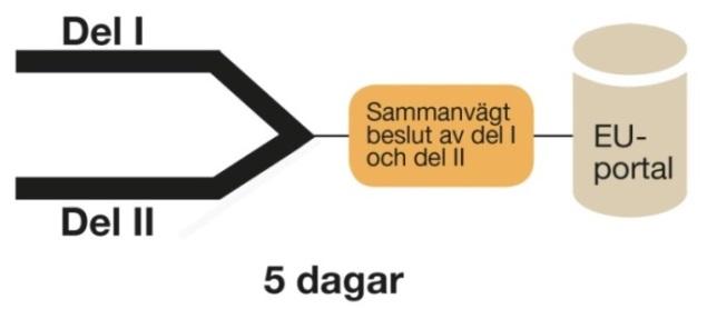 Endast ett beslut fattas per prövning genom sammanvägning av slutsatserna för utredning av del I och del II (se Figur 8).