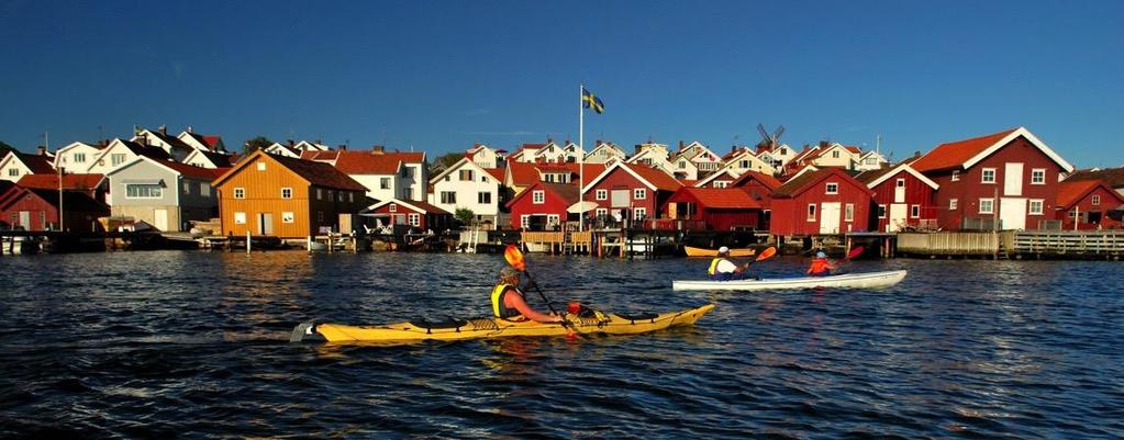Naturbilder Lägg fokus på