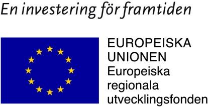 Om finansieras av de deltagande parterna tillsammans med medel från Europeiska Regionala Utvecklingsfonden (Mål 2), Länsstyrelsen i Norrbottens län samt Region Västerbotten.