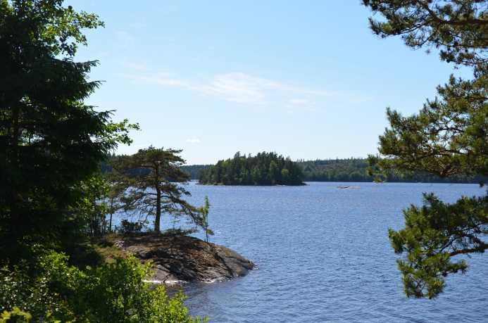 Skogsfastighet med egen ö vid