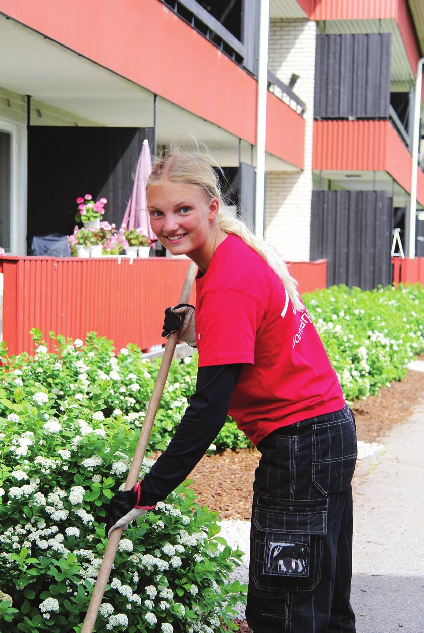 De gör så mycket nytta! En chans för Aefab att hinna komma ikapp med viktiga sysslor under sommaren och samtidigt en möjlighet för unga att få upp ögonen för branschen.