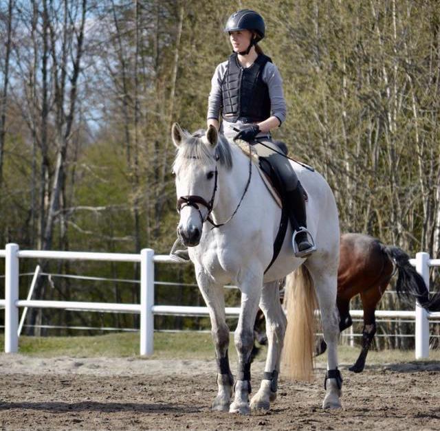 Kombi-kurs Onsdag 21/6 kl.17.00 22.00 Kombikurs är en kurs för vuxna och ungdomar på alla nivåer som rider häst. Ett pass dressyr och ett pass markarbete.