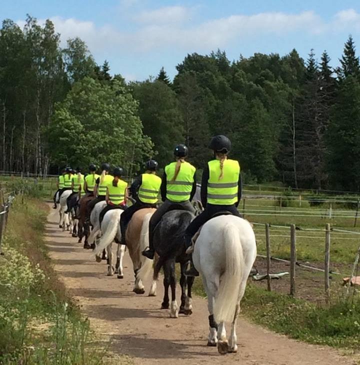 Betesritt för ponnyer Torsdag 22/6 med samling kl. 12.00 Vi rider våra kära ridskoleponnyer till sitt sommarlov och fikar när vi kommer fram!