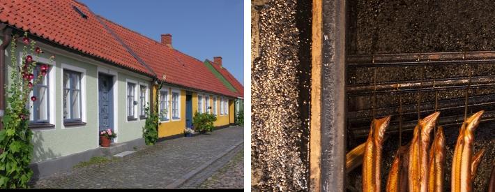 Under sommaren är det också vackert att promenera uppför höjderna och se ut över havet och äppelodlingarna. Backsippaor och gullvivor blommar på våren i Brösarps backar.