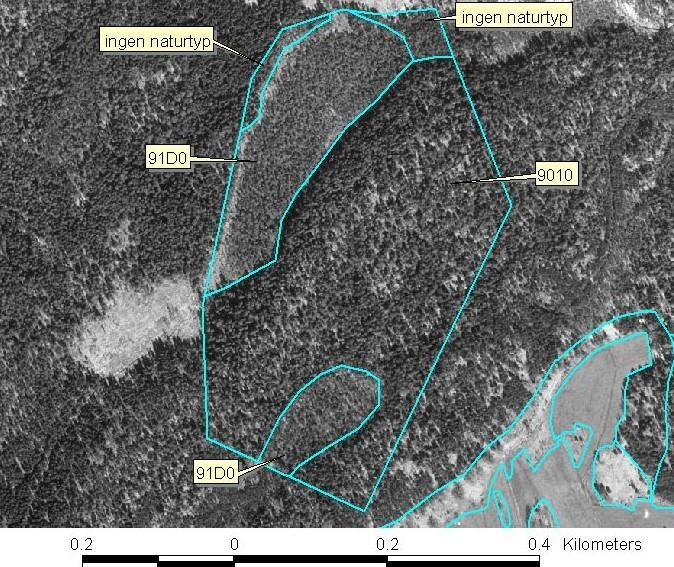 7 (7) Karta Ref: Lantmäteriet, 2006. Ur Geografiska Sverigedata, 106-2004/188-AB Digital flygbild över Bromseby.