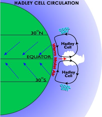 Konvektion Värmetransport Rörelse hos ett strömmande medium pga densitetsvarationer (orsakade av värmeöverföring) kallas naturlig konvektion. Konvektionsceller i t.ex.