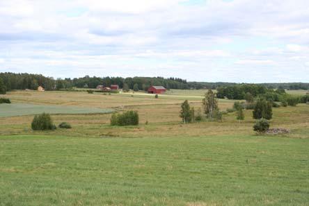 44 Naturvårdsprogrammet konstaterar att översyn/uppdatering är nödvändig för länsstyrelsens inventeringar av våtmarker, ädellövskog samt ängsoch hagmarker. 7.