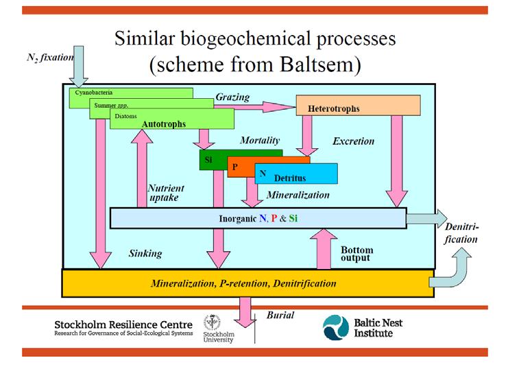 Fig.3: A highly simplified description of model components and nutrient fluxes exemplified from the BALTSEM model.